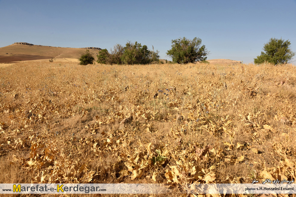 قبرستان های تاریخی سقز